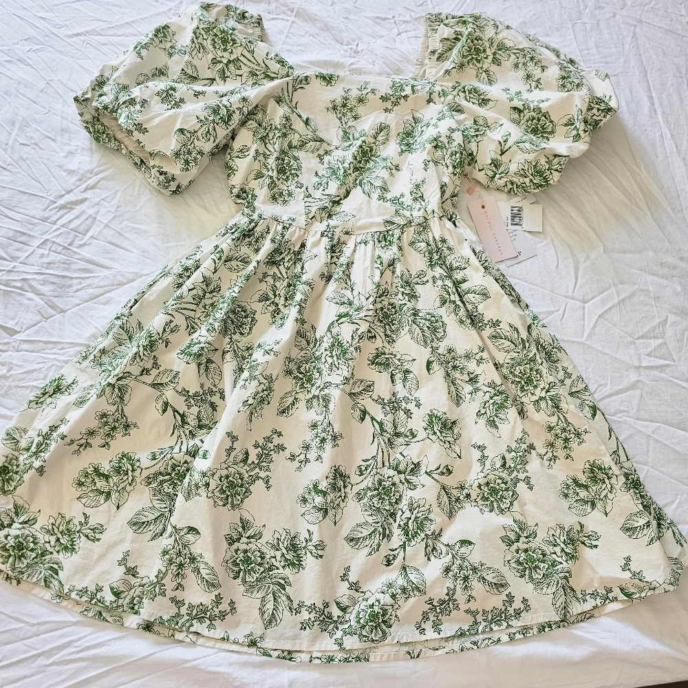 Rachel Parcell size 6 green dress fits like a size 8 sage toile sundress - Picture 2 of 12